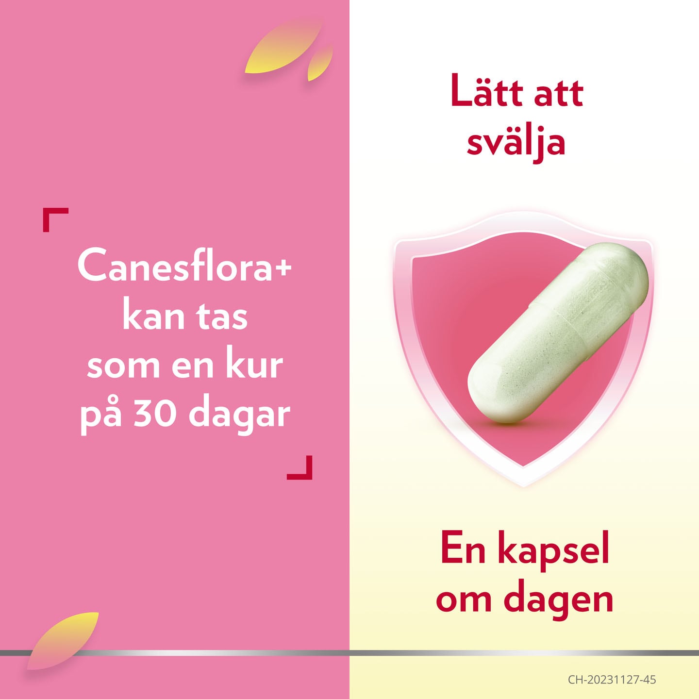 Canesflora+