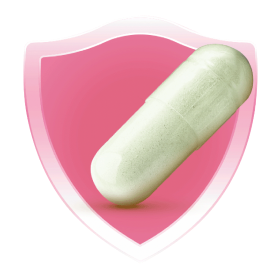 Icon shield